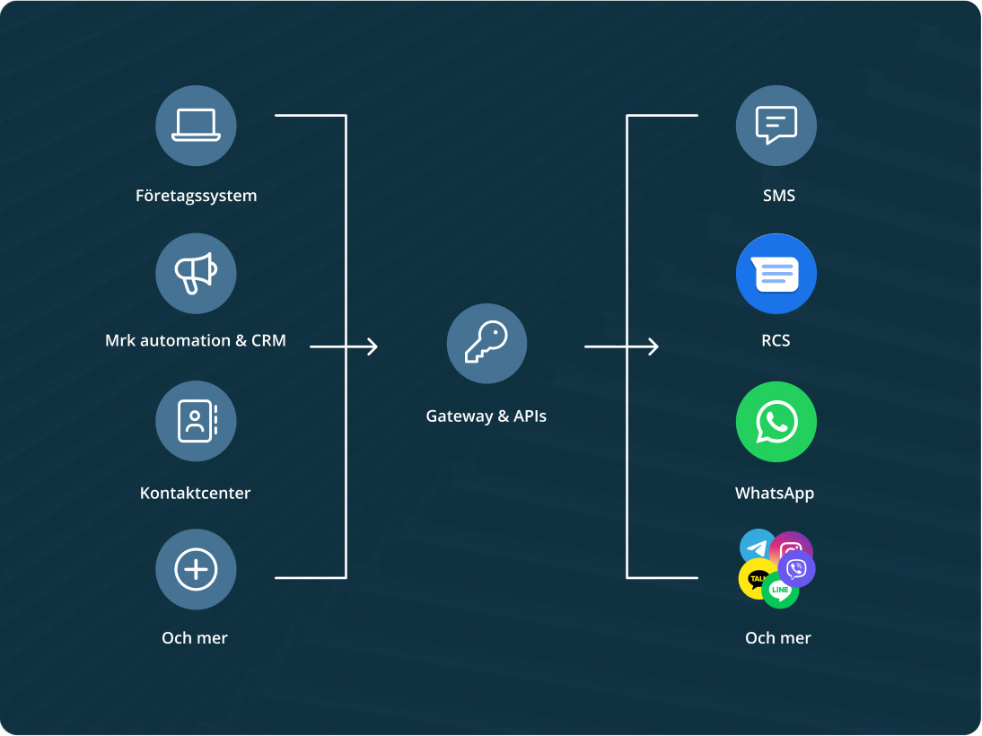 API integration SV