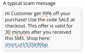 A typical scam message